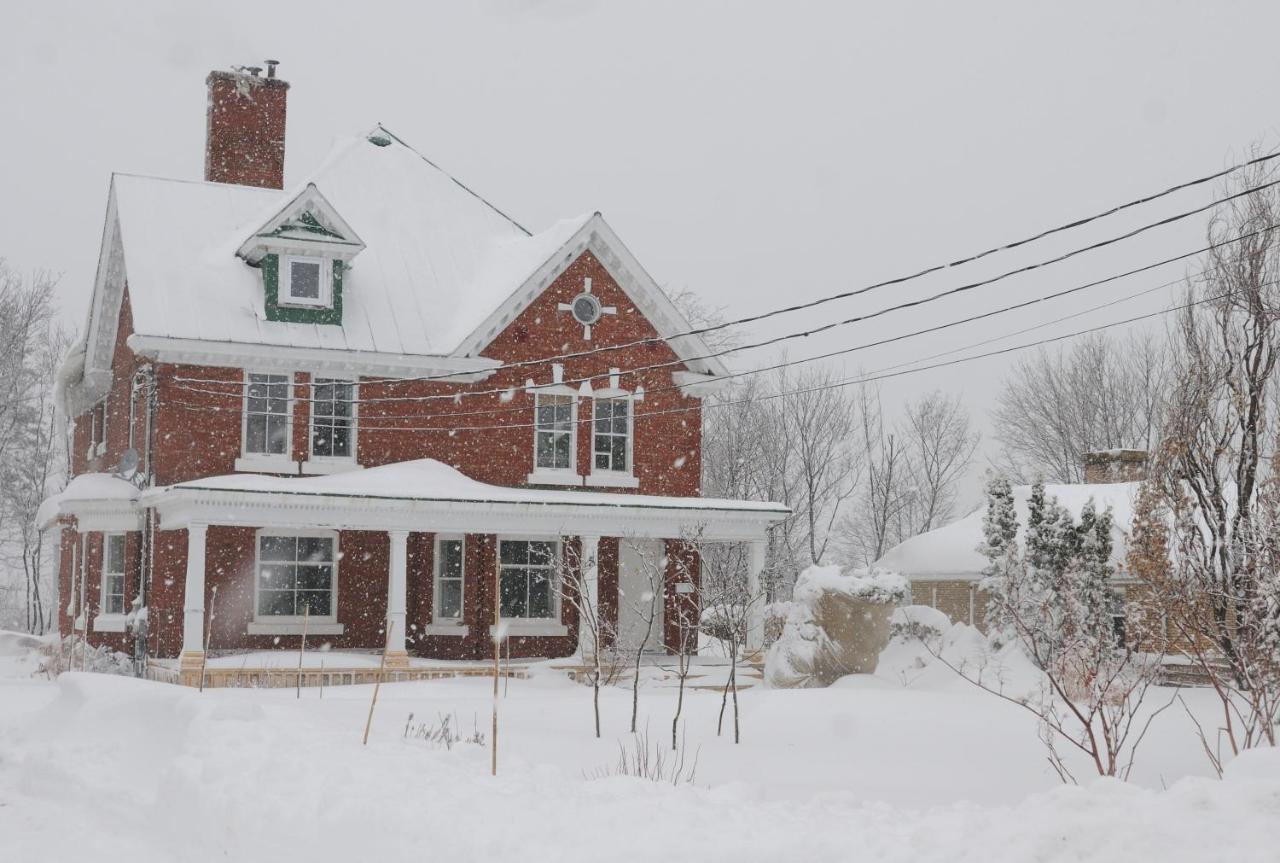 Napier House Lägenhet Campbellton Exteriör bild
